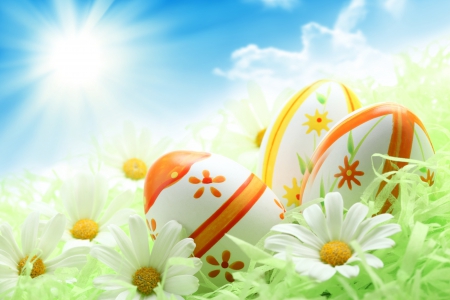 ♥Easter Time♥ - eggs, flowers, easter, camomile, daisy, sunshine, spring