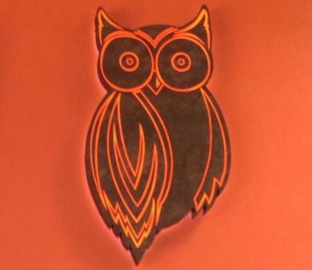 Hooters Owl - animal, hooters, owl, other