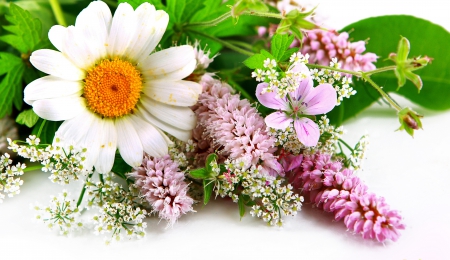 Spring Flowers - flowers, bouquet, spring, daisy