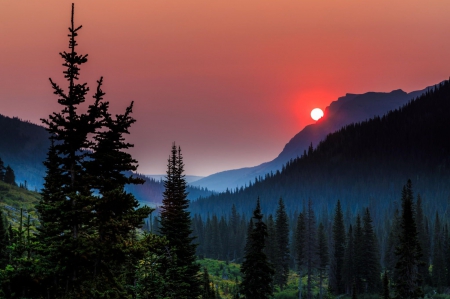 Smoky Mountains - forest, mountains, cool, fun, sunset, nature