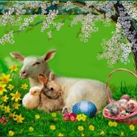 Easter Friends