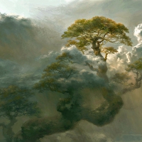 Treeholme Among the Clouds