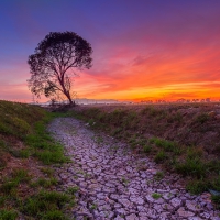 Dry Stream at Sunset