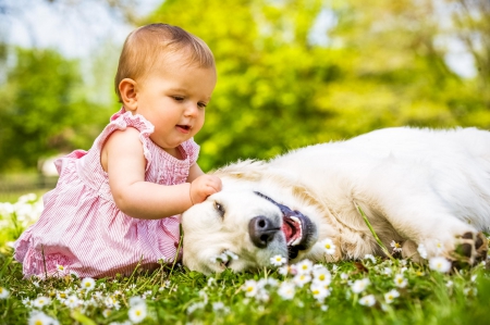 Sweet Love - bokeh, little girl, dog, spring, grass, love, spring time, baby, flowers, dogs, animals