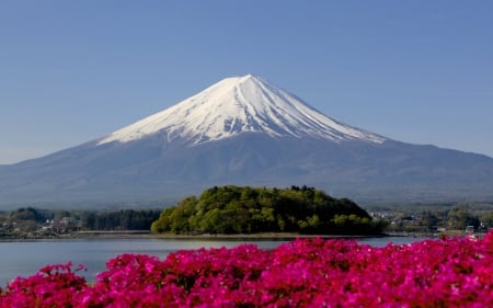 Mt. Fuji - fuji, flowers, japan, lake, spring, mountain, japanese