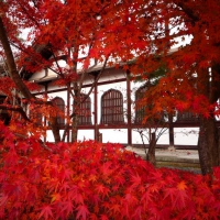 Kyoto Garden