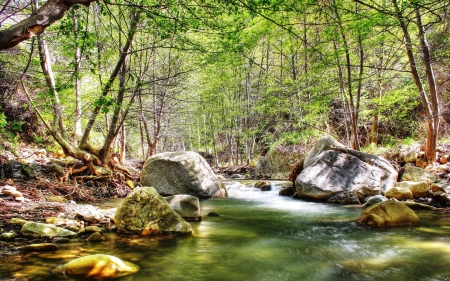 DOWN BY THE OLD MILL STREAM - NATURE, STREAM, GORGEOUS, SETTING