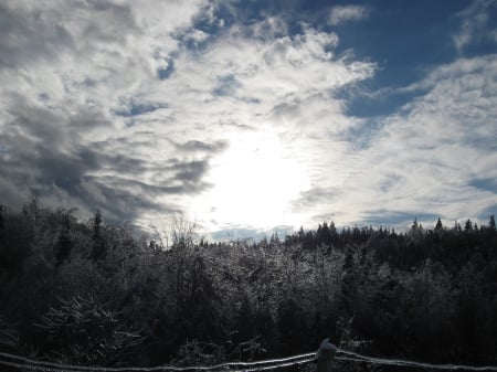 Winter Sky - Trees, Clouds, Winter, Forest, Cold Sun, Woods, Blue Sky, Country Scene, Icy, Cold, Sun, Sparkling Trees, Icy Trees, Sky