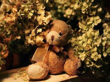 Teddy Hugs - box, ribbon, sweet, flowers, still life, cute, teddy bear