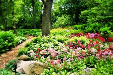 spring forest - morning, trees, animals, plants, green nature, calm, nature, sounds, flowers, colors, birds