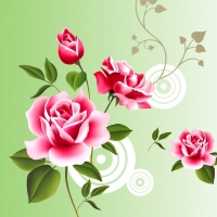 Charming Pink Roses