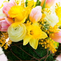 â™¥Spring Flowersâ™¥