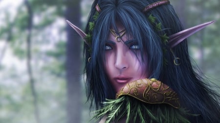 elf - pointy, big, forest, ears