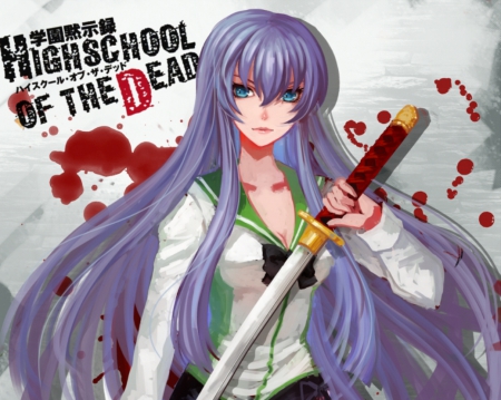 Busujima Saeko - pretty, blood, anime, female, long hair, emotional, weapon, nice, purple hair, anime girl, serious, beautiful, girl, sword, beauty, lovely, sweet, blade, sinister, busujima saeko, high school of the dead