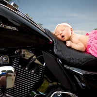 Sleeping on Harley-Davidson