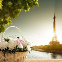 *A beautiful basket of flowers along the Seine*