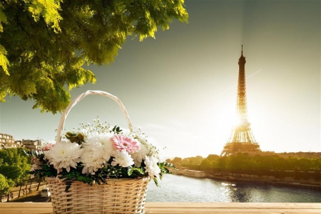 *A beautiful basket of flowers along the Seine* - eiffel tower, beautiful, spring time, seine, paris, flowers, basket