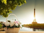 *A beautiful basket of flowers along the Seine*