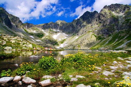 Mountain lake in background with high mountain - high, reflection, mountain, tourism, flowers, shore, view, peak, cliffs, lake, sky, clouds, greenery, beautiful, Tatras, slope, lovely, stones, tourists, background, rocks