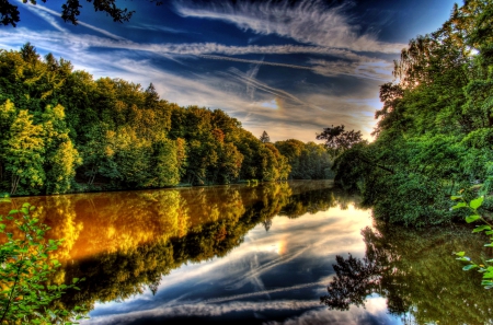 Reflection in the river - nature, forest, reflection, river