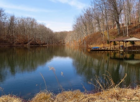 Dock on the Pond - trees, water, pond, boatdock, boat, spring, dock, nature, autumn, lake, country