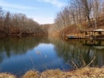 Dock on the Pond