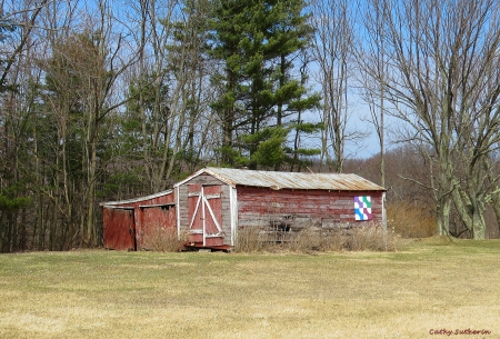 Little Red Barn - red, country, grass, architecture, shelter, field, tree, barn, nature