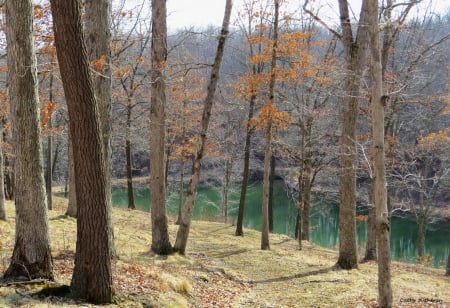 Touches of Green - lake, trees, water, colorful, path, country, spring, nature, hike, trail, leaves, tree