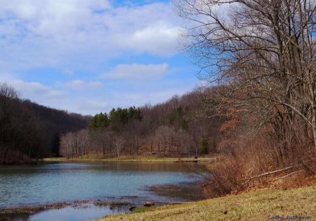 In the Spring - hill, lake, ohio, sky, jefferson lake state park, hills, water, spring, nature, clouds, tree