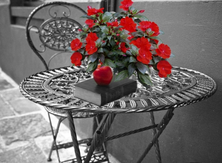 Day for reading a book - flowers, image, red, book, expression, color, new, wallpaper