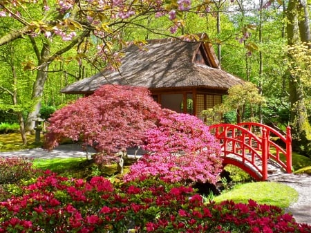 Japanese garden - pretty, blossoms, creek, spring, flowers, garden, nice, cottage, greenery, trees, beautiful, lovely, freshness, blooming, colorful, bridge, park, japanese