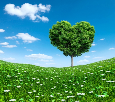 â™¥Love Treeâ™¥ - love, heart, tree, summer, field