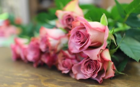 Roses - pink roses, bouquet, flowers, beautiful