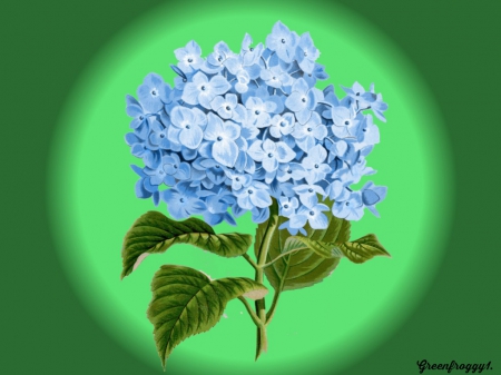 BLUE ON GREEN - CREATION, BLUE, FLOWERS, GREEN