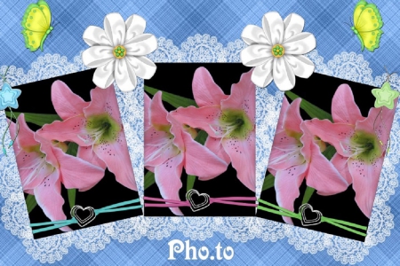 LILY CARDS - three, creation, cards, flower