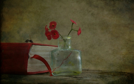 Still life - flowers, bottle, book, Still life