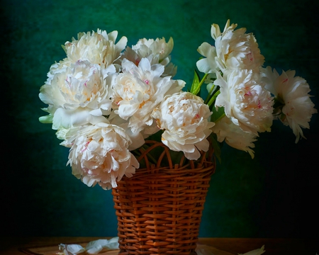 Still life - peionies, basket, still life, petals