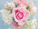 â™¥Pink Rosesâ™¥