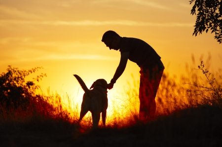 Man and dog - puppy, animals, lovely, pretty, puppys, beautiful, dog, animal, dogs, sweet, cute