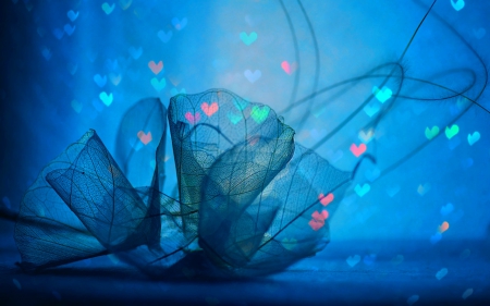 Pretty blue - art, hearts, flowers, blue