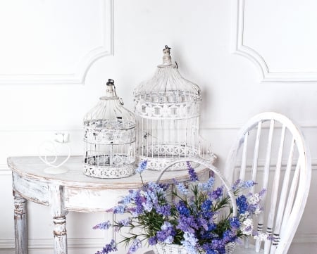 ♥Still Life♥ - flowers, cage, white, lavender, romance, still life