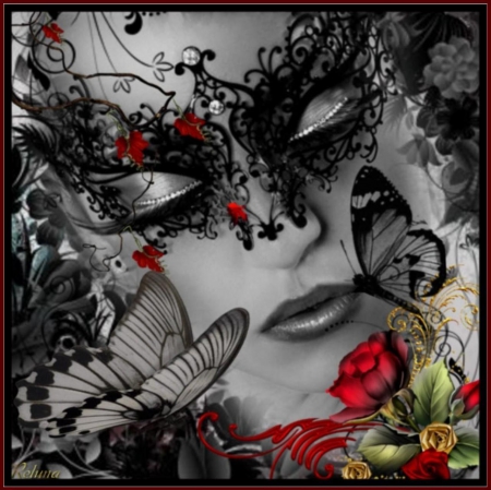 BLACK BUTTERFLY - ROSE, FACE, BLACK, FEMALE, BUTTERFLIES, MASK, RED