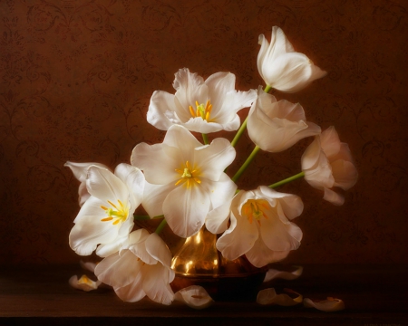 Still life - flowers, white, still life, petals