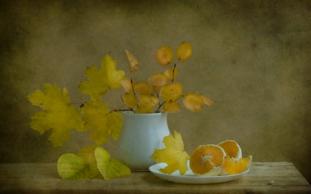 Still life - plate, yellow, lemon, Still life