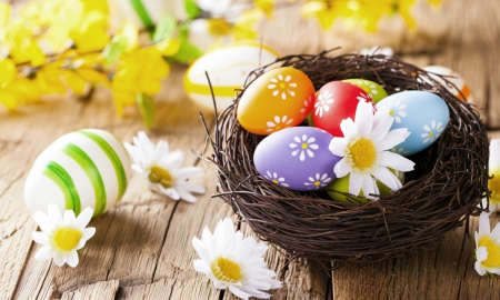 Easter Eggs - eggs, nest, easter eggs, easter, flowers, daisies