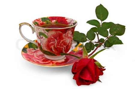 good morning - roses, cups, coffee, red, photography, tea, still life