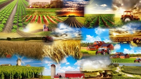 Farmers Collage - fields, farmers, collage, farms, silo, tractors, barn, ranch, country, windmill, sky