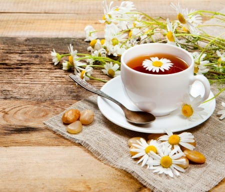 ♥Camomile Tea♥ - flowers, herbal, camomile, tea, cup