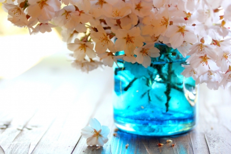 CHERRY BLOSSOMS - flowers, blossoms, bottle, water, cherry, Japan, spring