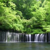 Forest Waterfall